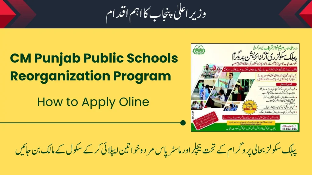CM Punjab Public Schools Reorganization Program image