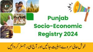 Punjab Socio-Economic Registry 2024 Registration Guide