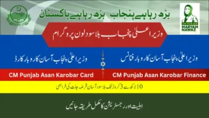 CM Punjab Loan Scheme image